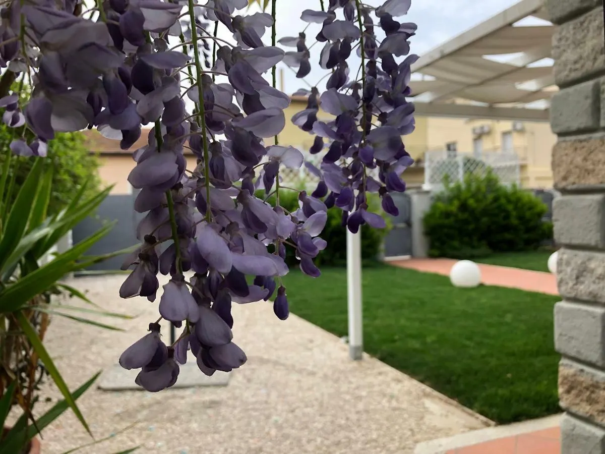 City Garden Guest House Olbia 2*,  Italië